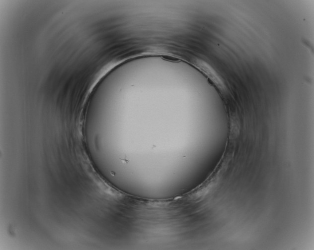 X0000097470908200803071650
