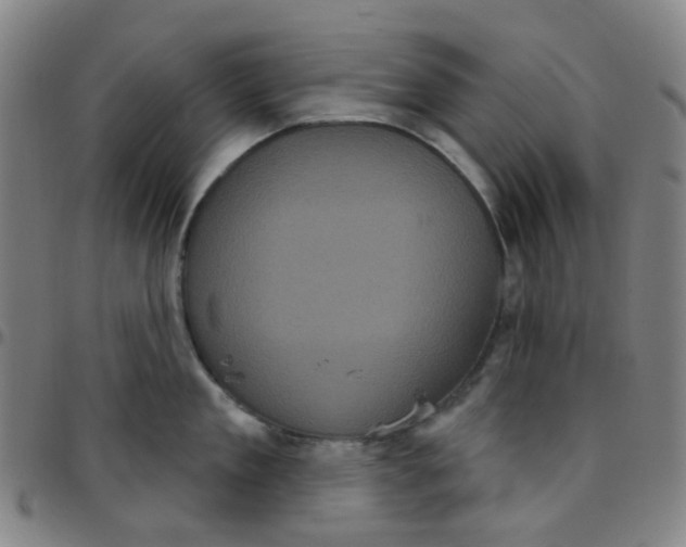 X0000097470909200803071650