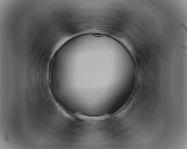 X0000097470910200803071650
