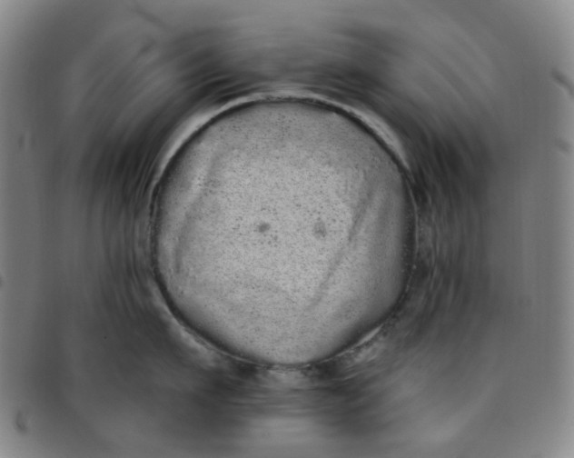 X0000097470911200803071650