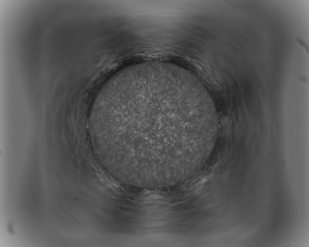 X0000097470913200803071650