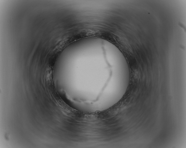 X0000097470914200803071650