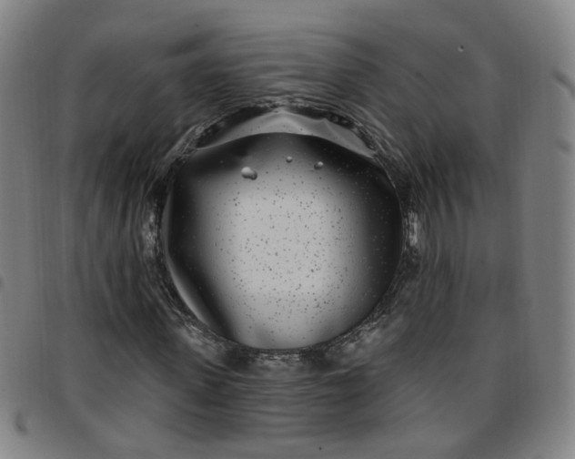 X0000097470915200803071650
