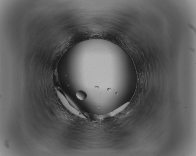 X0000097470916200803071650
