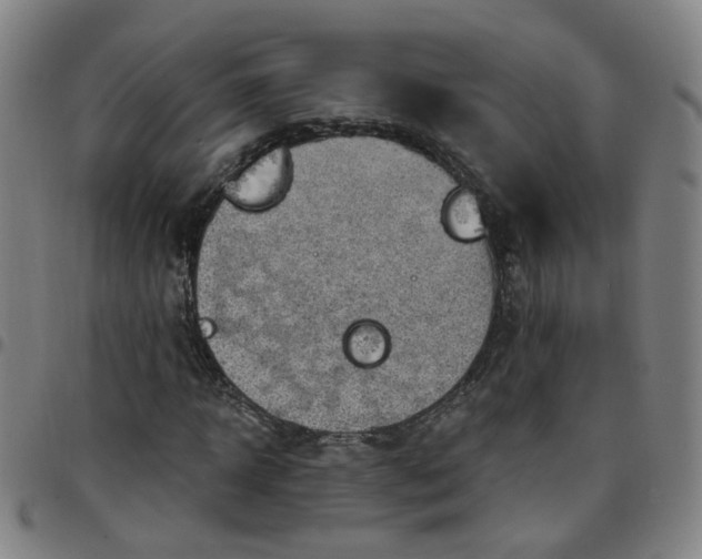 X0000097470918200803071650