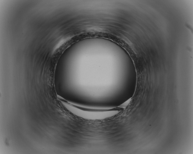 X0000097470919200803071650