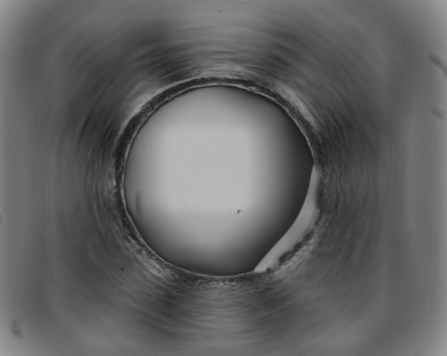 X0000097470923200803071650