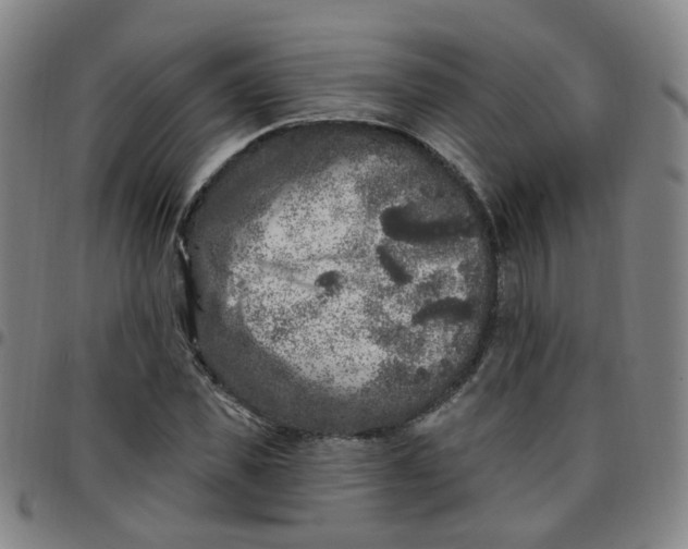 X0000097470925200803071650