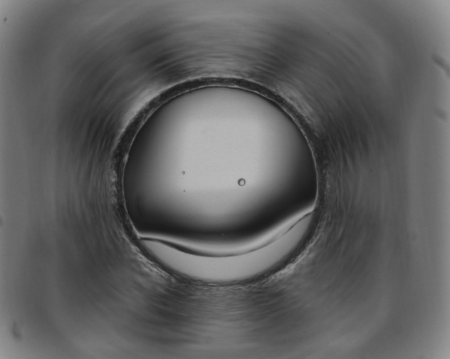 X0000097470926200803071650