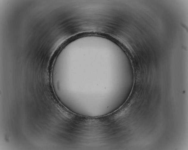 X0000097470927200803071650