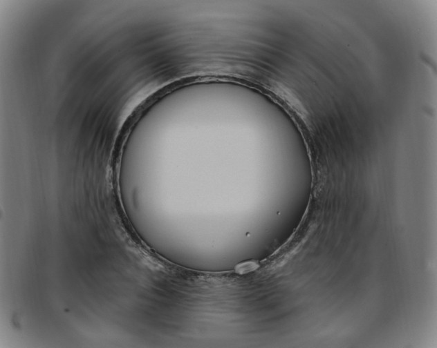 X0000097470928200803071650