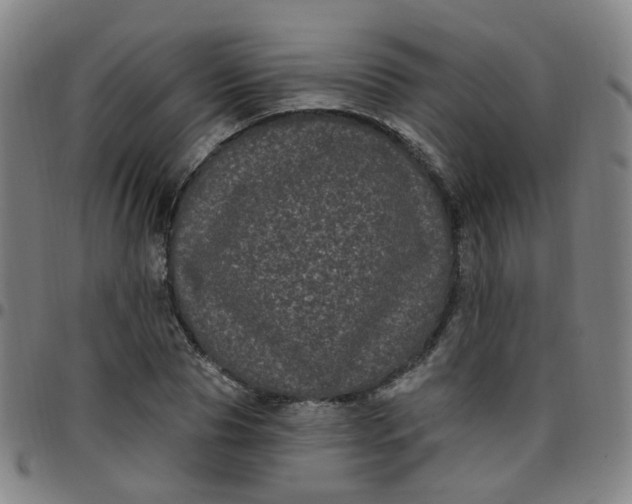 X0000097470929200803071650