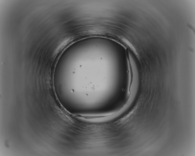 X0000097470930200803071650