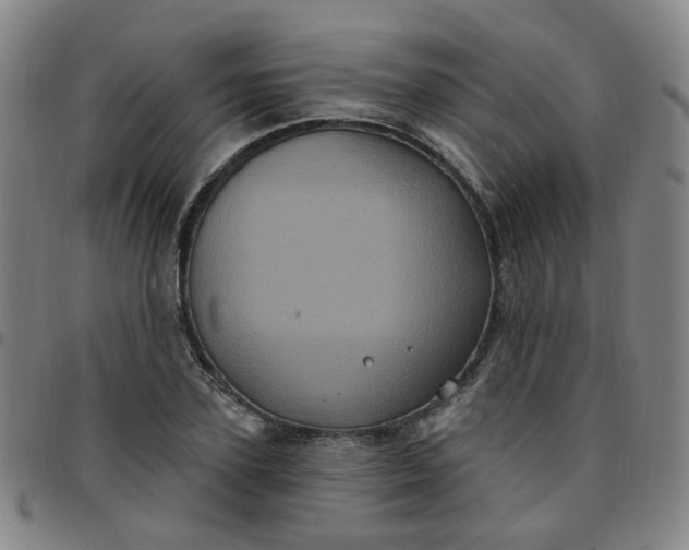 X0000097470931200803071650