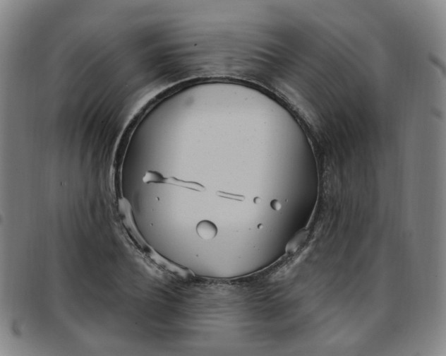 X0000097470932200803071650