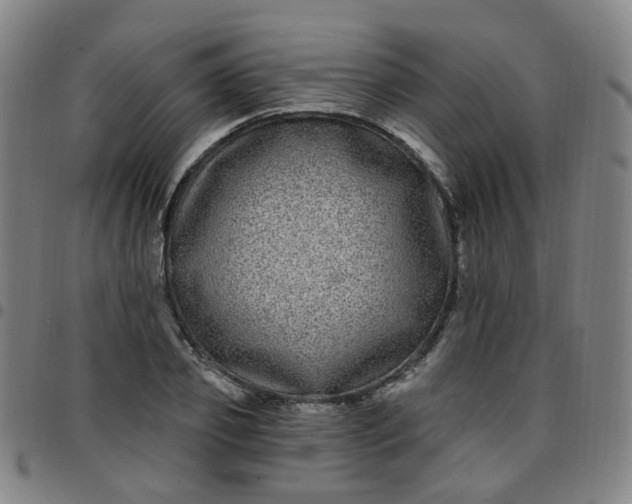X0000097470933200803071650