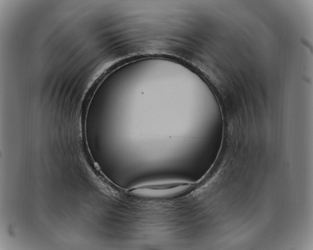 X0000097470934200803071650