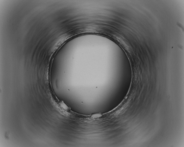 X0000097470938200803071650