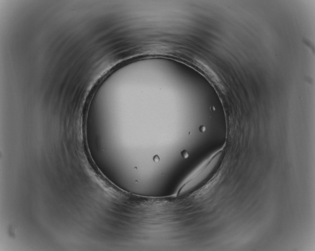 X0000097470939200803071650