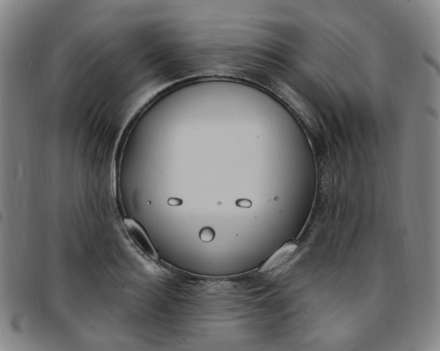X0000097470940200803071650