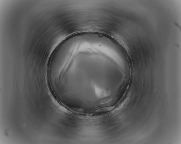 X0000097470941200803071650