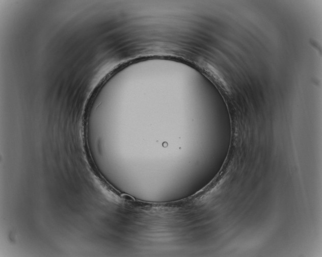 X0000097470942200803071650