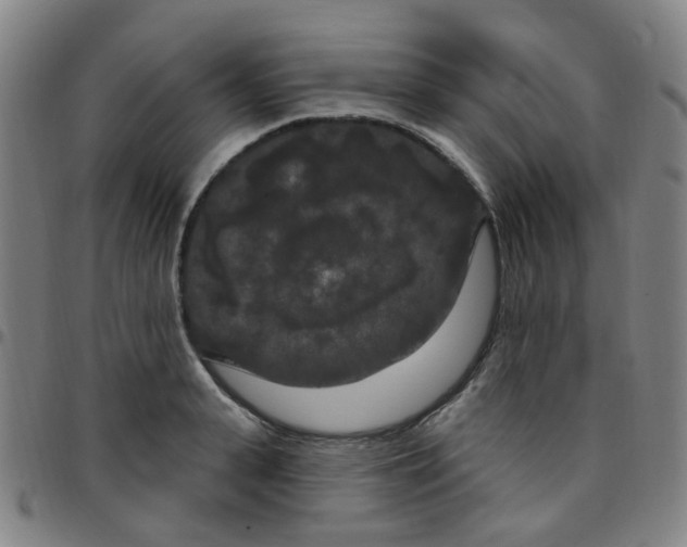 X0000097470943200803071650