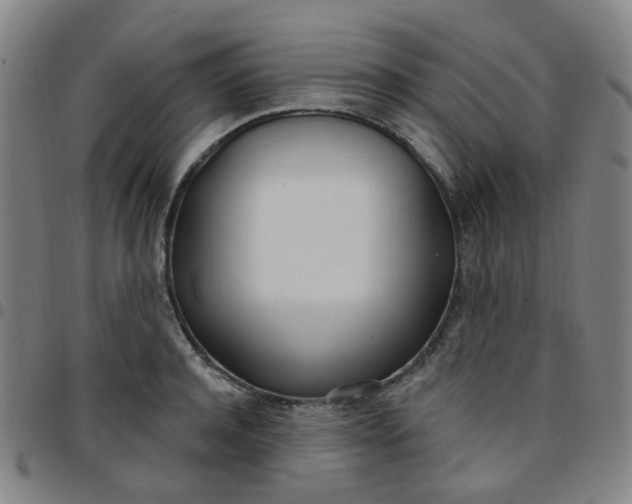 X0000097470944200803071650