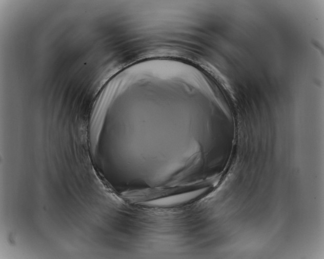 X0000097470945200803071650