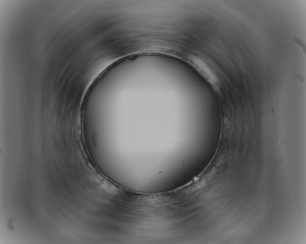 X0000097470948200803071650