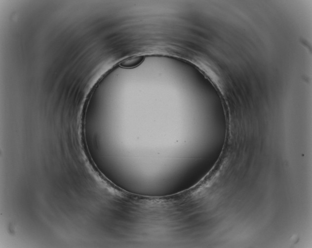 X0000097470949200803071650