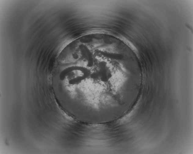 X0000097470953200803071650