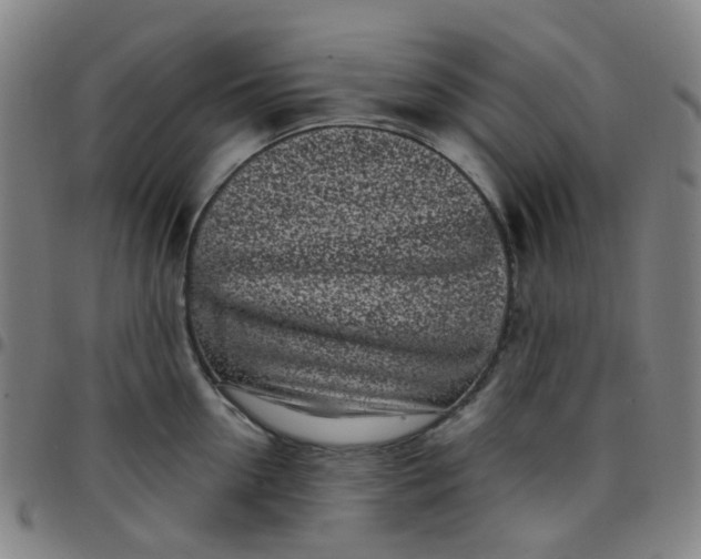 X0000097470954200803071650