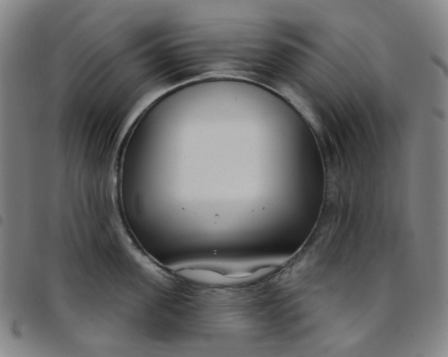 X0000097470955200803071650
