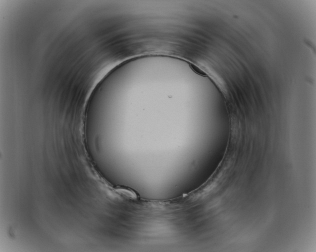 X0000097470956200803071650