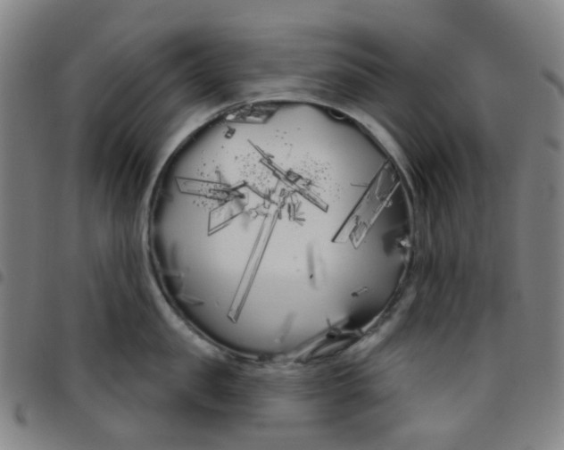 X0000097470957200803071650