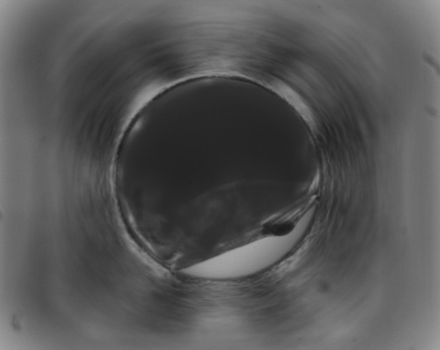 X0000097470958200803071650