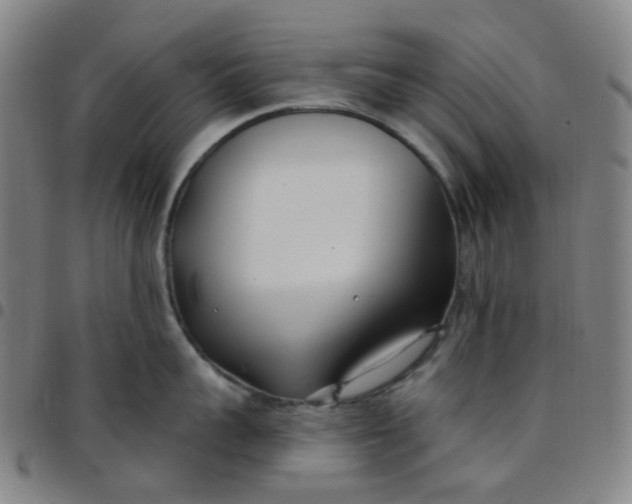 X0000097470959200803071650