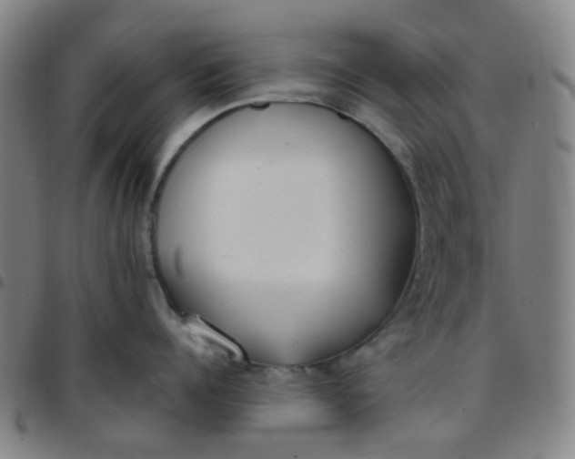 X0000097470960200803071650