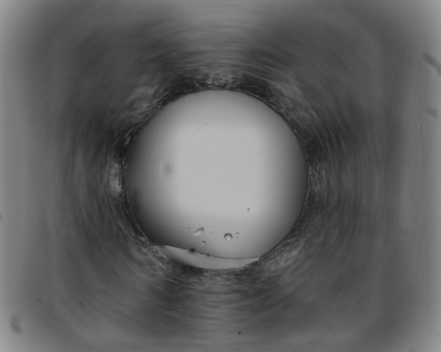 X0000097470962200803071650