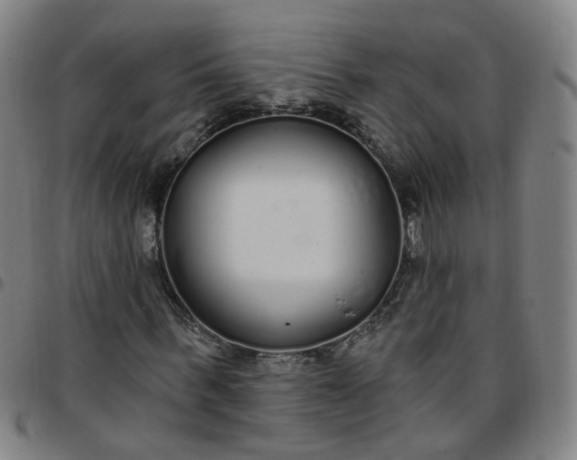 X0000097470963200803071650