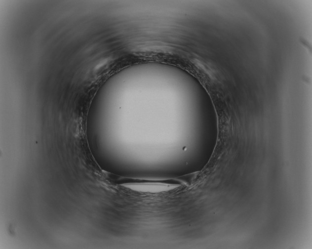 X0000097470965200803071650