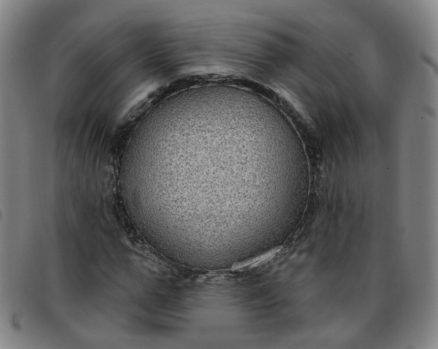 X0000097470967200803071650