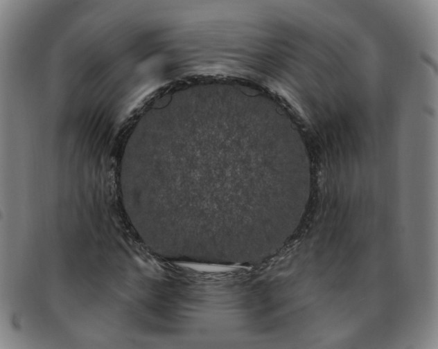 X0000097470968200803071650