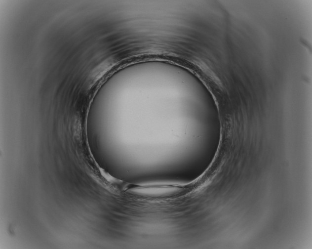 X0000097470969200803071650