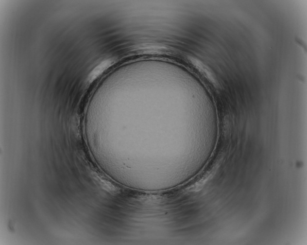 X0000097470970200803071650