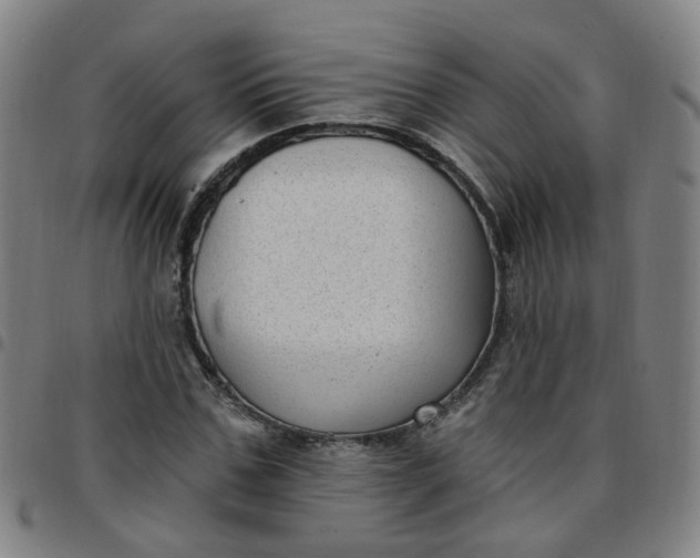 X0000097470971200803071650
