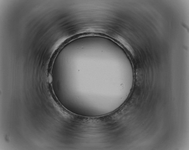 X0000097470972200803071650