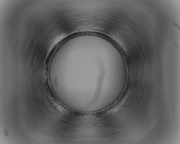 X0000097470974200803071650