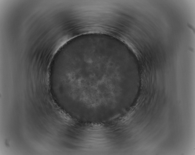 X0000097470975200803071650